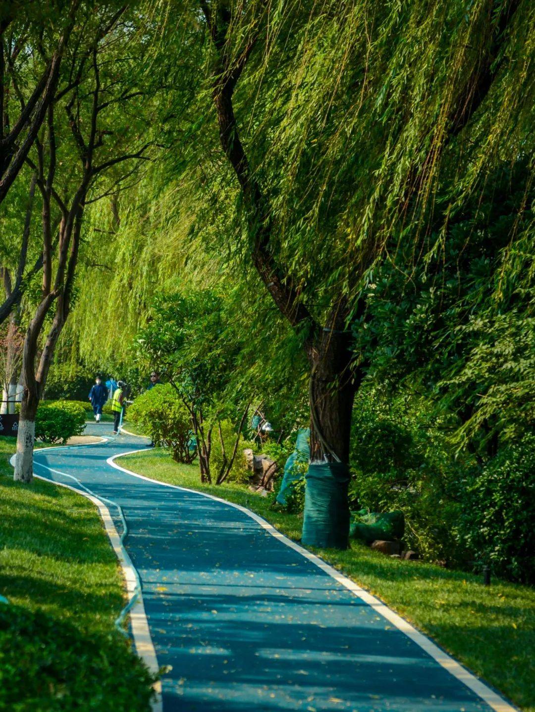 猛禽3060显卡算力强劲，游戏与专业应用两不误