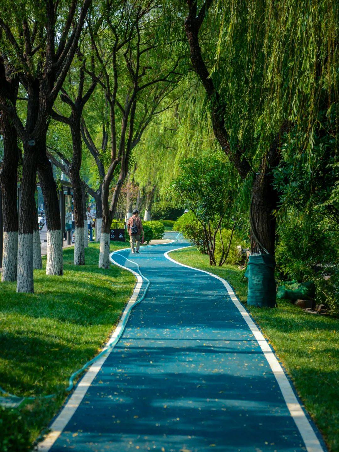 蘑菇算力与黑芝麻算力揭秘两种新兴AI算力解决方案